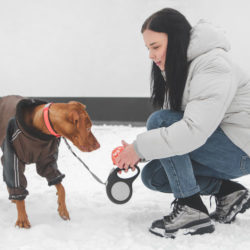 Как распознать признаки обморожения и гипотермии у собаки